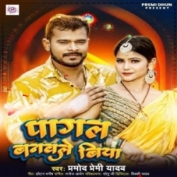 Ago Pagali Ta Pagal Banaile Biya Mp3 Song Mp3 Song