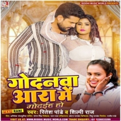 Godanwa Aara Me Godaiha Ho (Ritesh Pandey, Shilpi Raj) 2024 Mp3 Song Mp3 Song