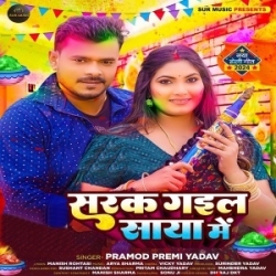 Choli Se Rangwa Chu Ke Sarak Gail Saya Me Mp3 Song