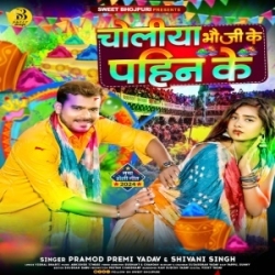 Choliya Bhauji Ke Pahin Ke Mp3 Song Mp3 Song