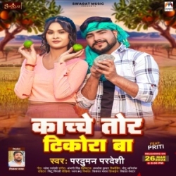 Kachche Tor Tikora Ba (Parduman Pardeshi) New Chaita Song 2024 Mp3 Song