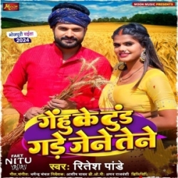 Gehu Ke Tur Gade Jene Tene (Ritesh Pandey) 2024 Mp3 Song Mp3 Song