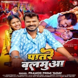 Patare Balamua (Pramod Premi Yadav) 2024 Mp3 Song Mp3 Song