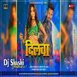 Dilwa Kekra Se Lagal Ba Bata Da Raja Ji Dj Brijesh Beko Mp3 Song