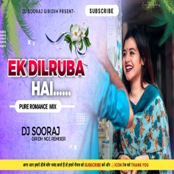 Mera Dil Jis Dil Pe Fida Hai Ek Dil Ruba Hai Love Mix Special DJ SOORAJ GIRIDIH Mp3 Song