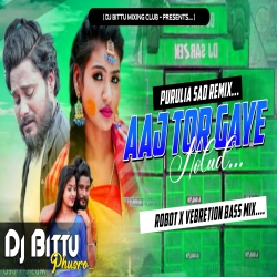 Aaj Tor Gaye Holud Shikari Taniya Dj Purulia 2023 Dj Bittu Phusro Mp3 Song