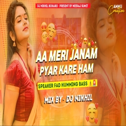 Aa Meri Janam Pyar Kare Hum Dj Old Hindi Song Dj Remix Humming Bass Dj Song  Dj Nikhil Bokaro Mp3 Song