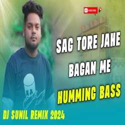 Saag Tore Jahe Ge Bagan Me Humming Mix Dj Sunil Mp3 Song