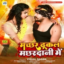 Machhar Dhukal Machhardani Me (Vishal Gagan) 2024 Mp3 Song Mp3 Song