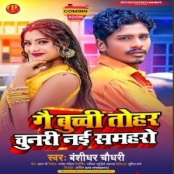 Gai Buchi Tohar Chunri Nai Shamro (Bansidhar Chaudhary) 2024 Mp3 Song Mp3 Song