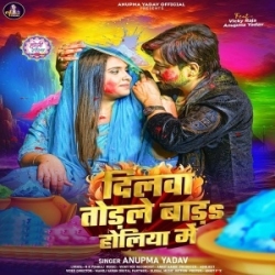 Kaise Jiyab Karejau Dilwa Todle Bara Holiya Me (Anupma Yadav) 2024 Mp3 Song Mp3 Song