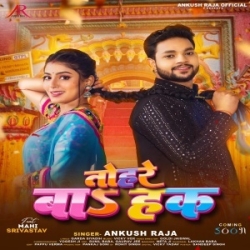 Tohare Ba Hak Ae Raja Hamara Pa (Ankush Raja) 2024 Mp3 Song Mp3 Song