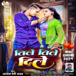 Tile Tile Dile (Awdhesh Premi Yadav) 2024 Mp3 Song Mp3 Song