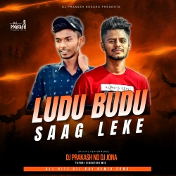 Ludu Budu (Tapori Re-Mix) Dj Prakash Nd Dj Jona Exclusive Mp3 Song