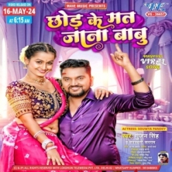 Chhod Ke Mat Jana Babu (Gunjan Singh, Saraswati Sargam) 2024 Mp3 Song Mp3 Song