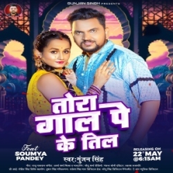 Tora Me Ke Tilwa Hilawo Hau Nawada Jila Ge (Gunjan Singh) 2024 Mp3 Song Mp3 Song