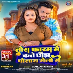 Tora Faram Me Kate Chhaura Posay Gelo Ge (Gunjan Singh) 2024 Mp3 Song Mp3 Song