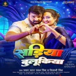 Pahiri Jab Marelu Musukiya Dhani Sariya Bulukiya Dhani (Pawan Singh, Shivani Singh) 2024 Mp3 Song Mp3 Song