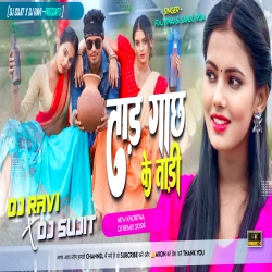 Taad Gachh Ke Tadi Raj Bhai New Khortha Jhumar Song [Dehati Jhumar Mix]  Dj Sujit Bagodar X Dj Ravi Mp3 Song