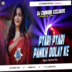 Pyari Pyari Pankh Dolay Ke - Tapori Vibration Mix Dj Chandan Dhanbad Mp3 Song