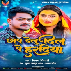 Chhap Delu Dil Pa Haradiya (Vinay Tiwari) 2024 Mp3 Song Mp3 Song