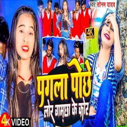 Pagla Pochhe Lor Gamchhi Ke Kor Se (Sonam Yadav) 2024 New Maghi Mp3 Song Mp3 Song