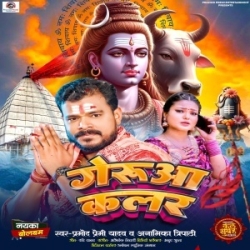 Ae Ho Gerua Color Ke Odhaniya Odhi Jal Dhare Chal Aiha (Pramod Premi Yadav, Anamika Tripathi) 2024 Mp3 Song Mp3 Song