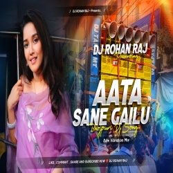 Aata Sane Gailu (Edm Vibrate Mix) Dj RohanRaj Mp3 Song