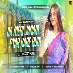 Aa Meri Janam  Pyar Kare  Hum  (Trrot Vibration Remix) Dj Nikhil Bokaro Mp3 Song