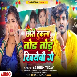 Chhauri Tukla Tod Tod Khiyebau (Aashish Yadav) 2024 New Maghi Mp3 Song Mp3 Song