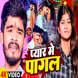 Pyar Me Pagal (Aashish Yadav, Riya Raj) 2024 New Maghi Mp3 Song Mp3 Song