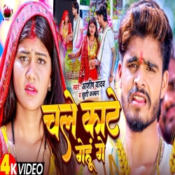 Chale Gehu Kate Ge (Aashish Yadav, Khushi Kakkar) 2024 New Chaita Mp3 Song Mp3 Song