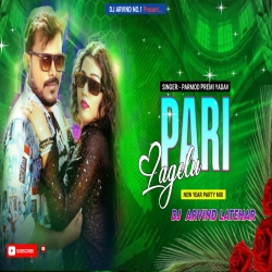 Pari Lagelu -- Parmod Premi Yadav -- Dj Arvind Latehar Mp3 Song