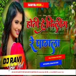 Hoti Hai Feelings Nagpuri Song 2025 New Nagpuri Viral Song [Dehati Barati DNC Mix] Dj Ravi Tirla Mp3 Song