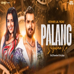 Palang Sagwan ke Dvj Chandan x Dvj Ajay Mp3 Song