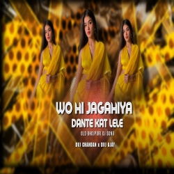 Ohi Re Jagahiya Dante Kat Lele Raja Ji Dvj Chandan x Dvj Ajay Mp3 Song