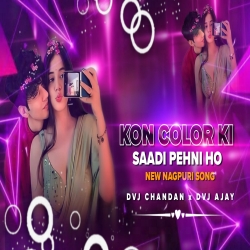 Kon Color Ki Saree Pehni Ho Dvj Chandan x Dvj Ajay Mp3 Song