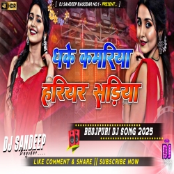 Dhake Kamariya Hariyar Sadiya Bhojpuri Dj Song 2025 Dj Sandeep Bagodar No.1 Mp3 Song