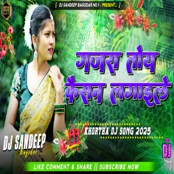 Gajra Toy Kaisan Lagaile Ge Remix Khortha Dj Song 2025 Dj Sandeep Bagodar No.1 Mp3 Song