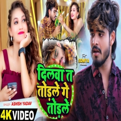 Dilwa Ta Todle Ge Todle (Aashish Yadav) New Maghi Mp3 Song 2024 Mp3 Song