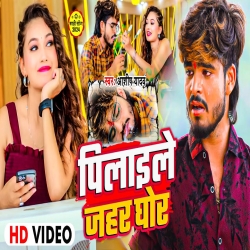 Pilaile jahar Ghor (Aashish Yadav) New Maghi Mp3 Song 2024 Mp3 Song