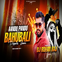 SHOOTER POSLE BANI (EDM BASS) REMIX DJ ROHAN RAJ Mp3 Song