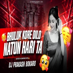 Bhuluk Kore Dilo Amar Nutun Hari Ta (Tapori Humming Mix) Dj Prakash Bokaro Mp3 Song