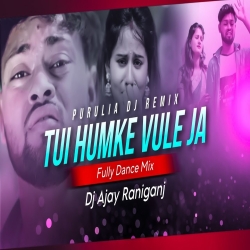 Tui Hamke Vule Jaa Pagla Jonomer Moton Ht Purulia Dance Mix Dj Ajay Raniganj Mp3 Song