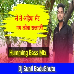 Sent Gamkaua Raja Ji Humming Mix Dj Sunil Badughutu Mp3 Song