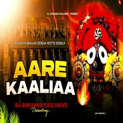 AARE KAALIAA - JAGANATH BHAJAN - ODISHA MOTTO SONG - DJ GORANGO EXCLUSIVE Mp3 Song