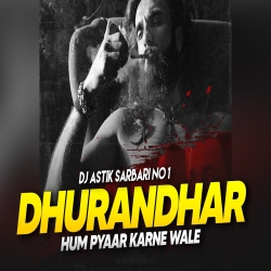 Hum Pyaar Karne Wale Dhurandhar  Hum Pyaar Karne Wale Dhurandhar 2 Hum Pyaar Karne Wale Remix Mp3 Song