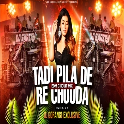               TADI PILA DE RE CHAUDA | EDM CIRCUIT MIX | DJ GORANGO EXCLUSIVE Mp3 Song