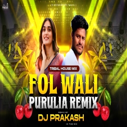A FOL WALI [ CIRCUIT HOUSE MIX ] DJ PRAKASH IN THE MIX Mp3 Song