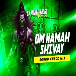 OM NAMAH SHIVAY BHAKTI SONG  SPEAKER CHECK  FULL VIBRATION MIX  DJ MUNNA KULGO Mp3 Song